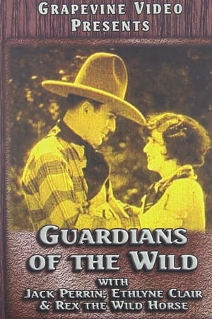 Poster Guardians of the Wild 1928