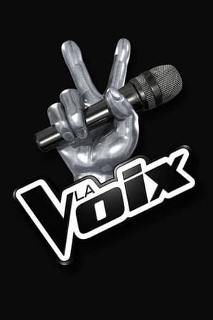 Image la voix