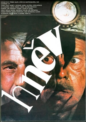Poster Hněv 1978