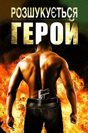 Розшукується герой 2008