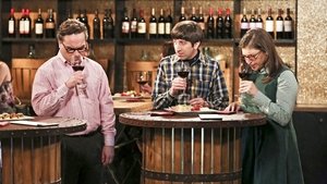 The Big Bang Theory 9 x Episodio 22