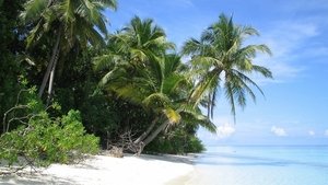 Road to Avonlea: 1×2