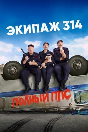 Poster Экипаж 314 2021