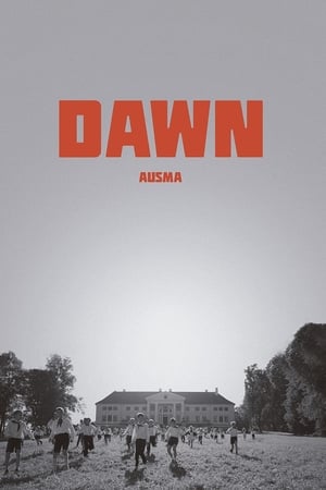 Dawn poster