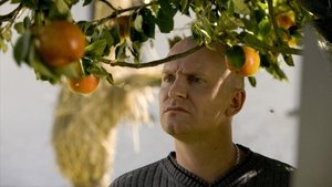 Las manzanas de Adam (2005)