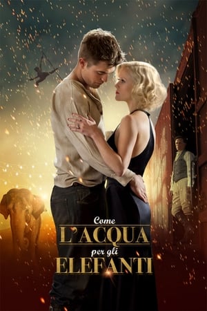 Come l'acqua per gli elefanti (2011)