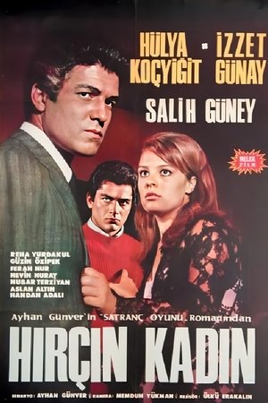 Hırçın Kadın poster