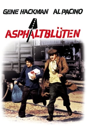 Poster Asphalt-Blüten 1973