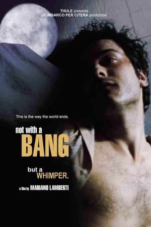 Poster Not with a Bang (1999)