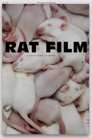 Rat Film Rat Film