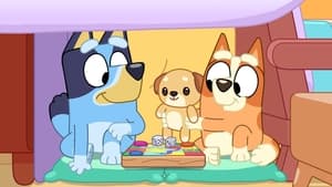 Bluey Season 3 Episode 38