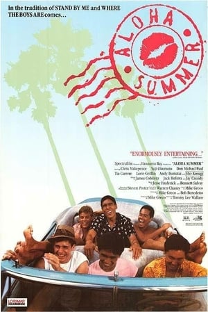 Aloha Summer poster