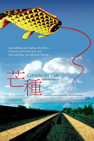 Grain in Ear 13