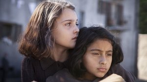 My Brilliant Friend Season 4: Renewed or Cancelled?