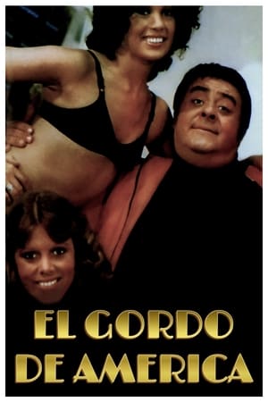 Poster El gordo de América (1976)