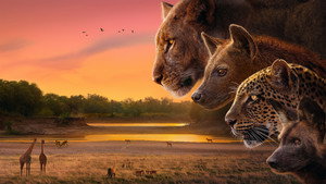 Kingdom