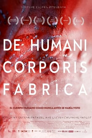 Image De Humani Corporis Fabrica