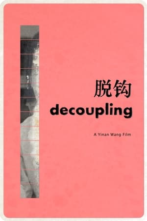 Image Decoupling 脱钩