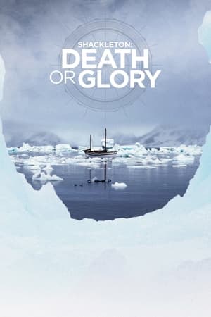 Shackleton: Death or Glory 2013