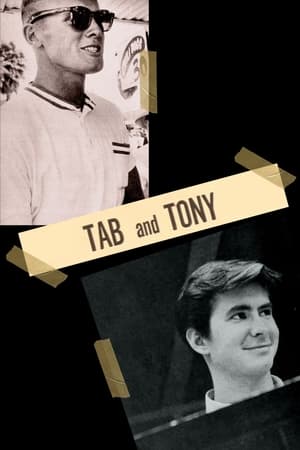 Poster di Tab & Tony