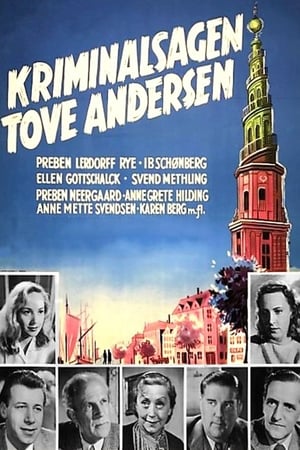 Kriminalsagen Tove Andersen poster