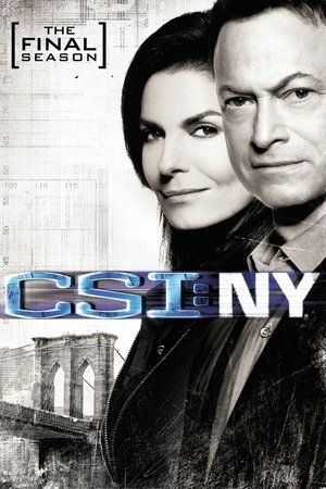 C.S.I. New York: Kausi 9