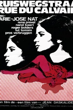 Poster Kruiswegstraat 6 1973