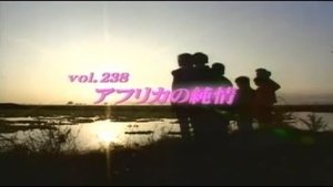 Episode 238