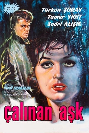Poster Çalınan Aşk 1963