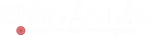 Ảnh 20