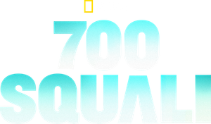 700 Tiburones — Logos 3