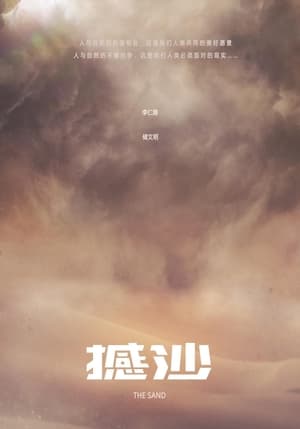 Poster 撼沙 2024