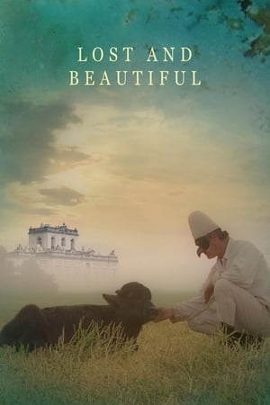 Poster Lost and Beautiful (2015)