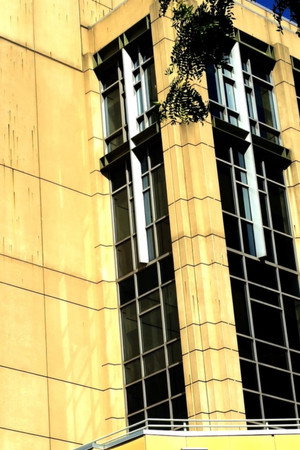 Journals 5: Buildings and Greenery