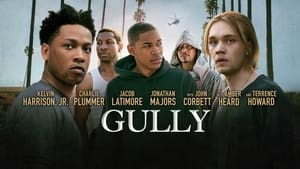 Gully 2019