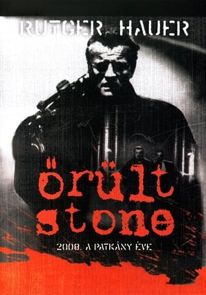 Poster Őrült Stone, avagy 2008 a patkány éve 1992
