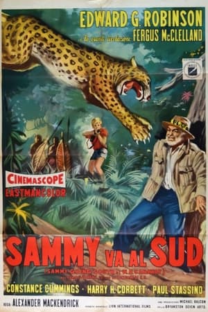 Poster di Sammy va al sud