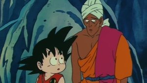 Dragon Ball (Dublado) – Episódio 29 – O Rio que Pode se Mudar