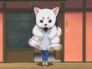 Gintama: 1×13