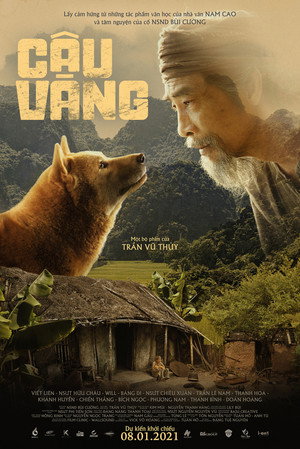 Cậu Vàng 20
