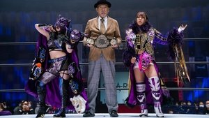 Stardom on Stardom World: 12×16