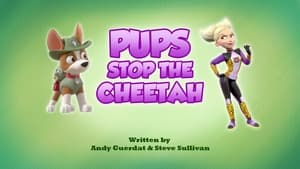 PAW Patrol Pups Stop the Cheetah