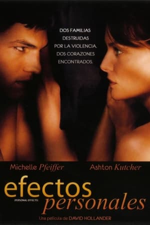 Poster Efectos personales 2009