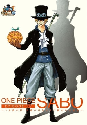 Poster One Piece : Épisode de Sabo : Le Lien Entre Les 3 Frères - Les Retrouvailles Miraculeuses et La Volonté Héritée 2015