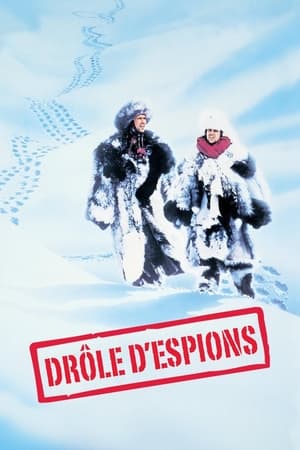 Poster Drôles d'Espions 1985