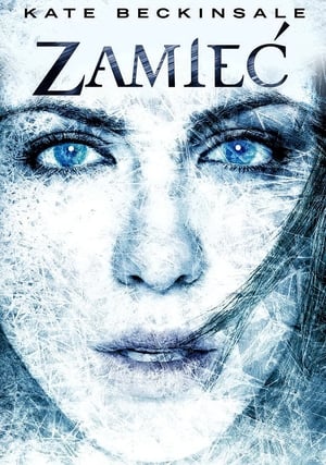 Poster Zamieć 2009