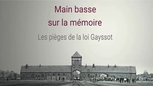 Main basse sur la mémoire, les pièges de la loi Gayssot