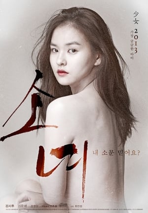 Poster 少女 2013