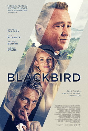 Blackbird 16