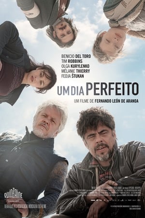 Poster Um Dia Perfeito 2015